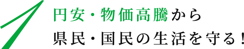 自民党の裏金問題を受け、民間感覚をベースに「維新版政治改革大綱」を策定。 企業団体献金の完全廃止、旧文通費（月100万円）は全額使途公開、政治家本人への罰則強化などを提言。 改革への本気度を示すため